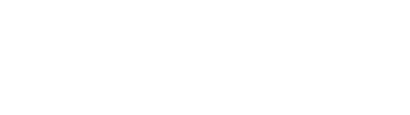 PALOMINOS | PARTNERS GROUP